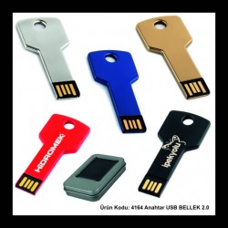 4164 Anahtar USB Bellek 2.0